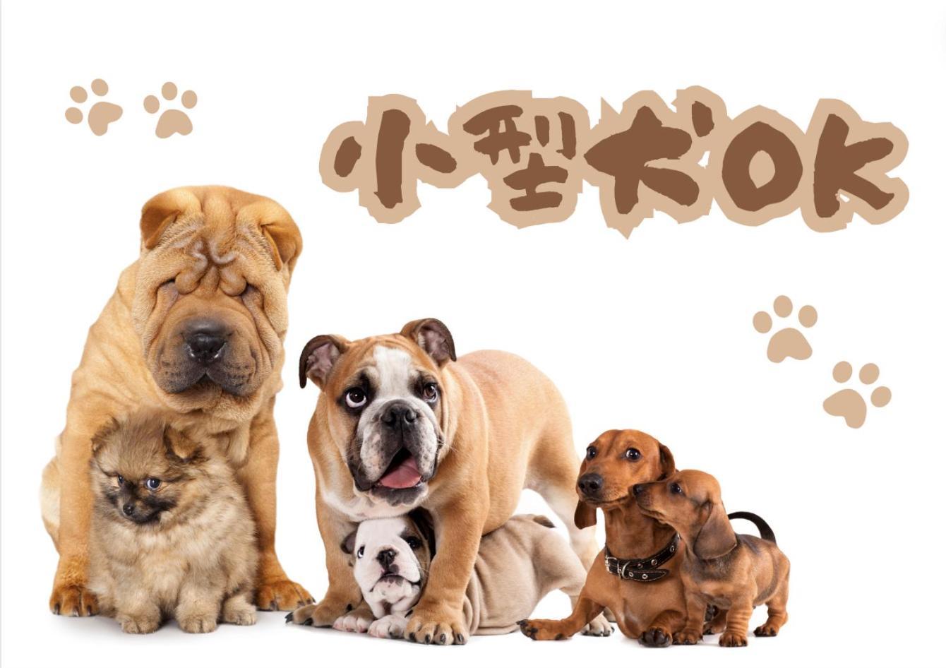 Akizero Onnason 빌라 외부 사진